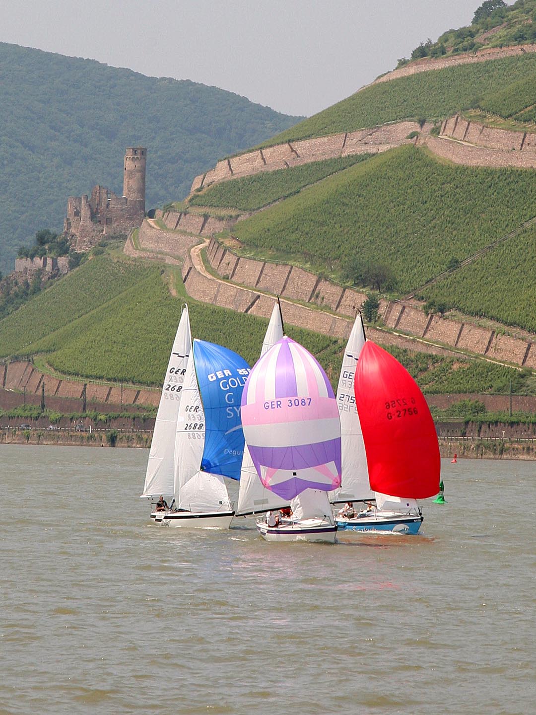 Regatta Hart am Binger Loch